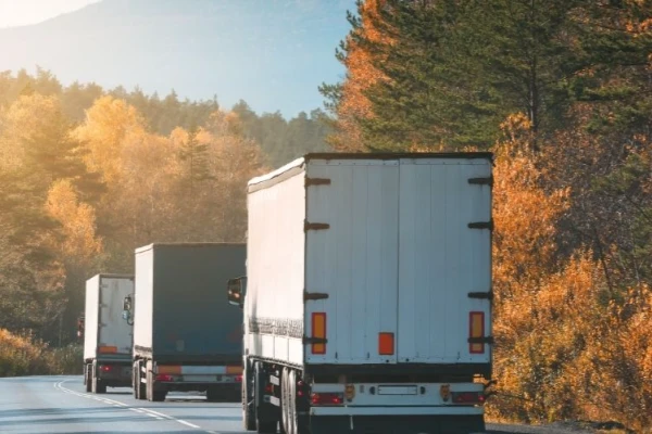 Ankara Gölhisar Nakliyat